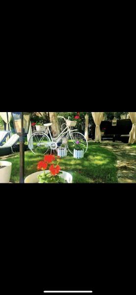 Apartment Complex Anita B22